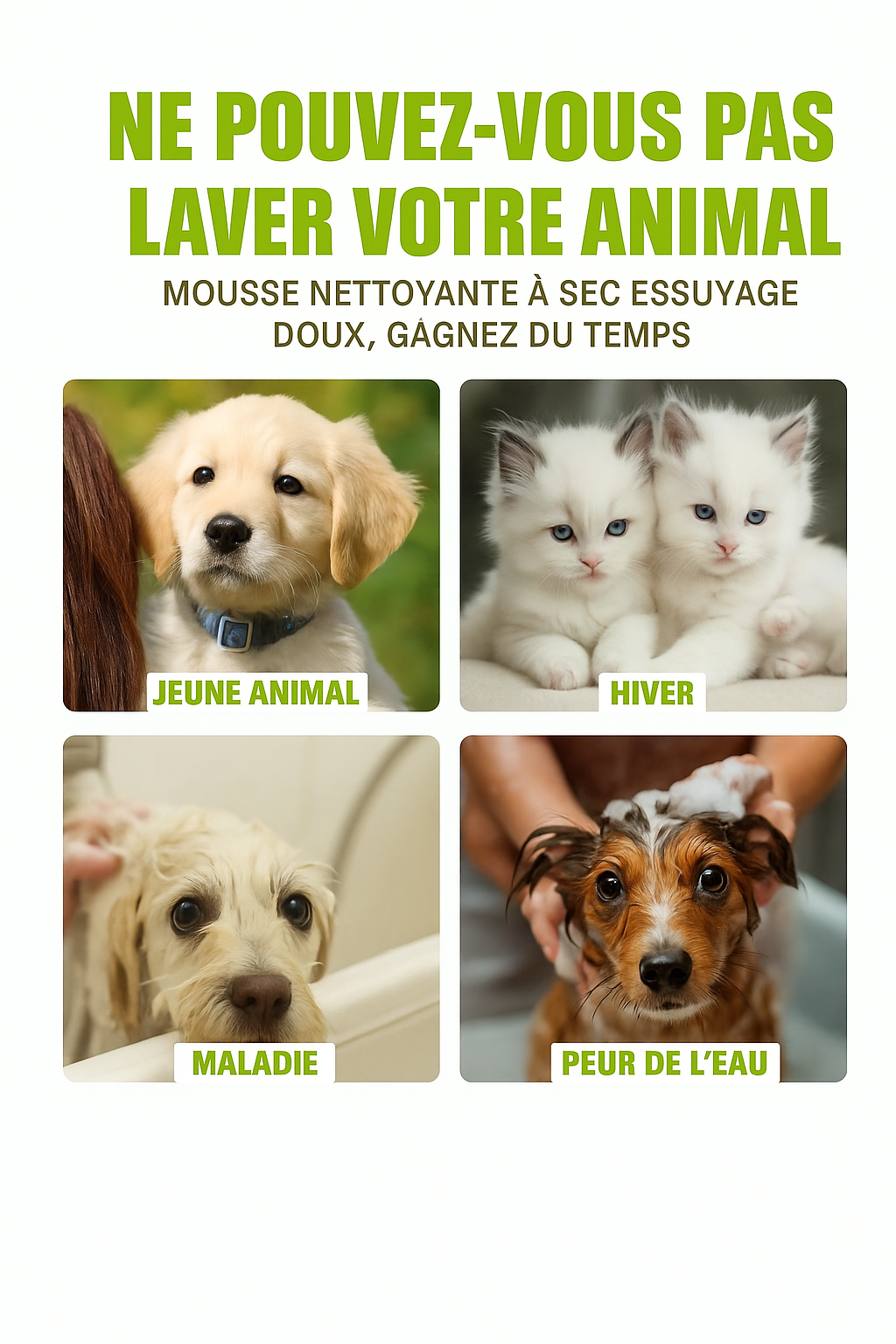 Shampooing Sec Nettoyant Profond pour Chiens et Chats