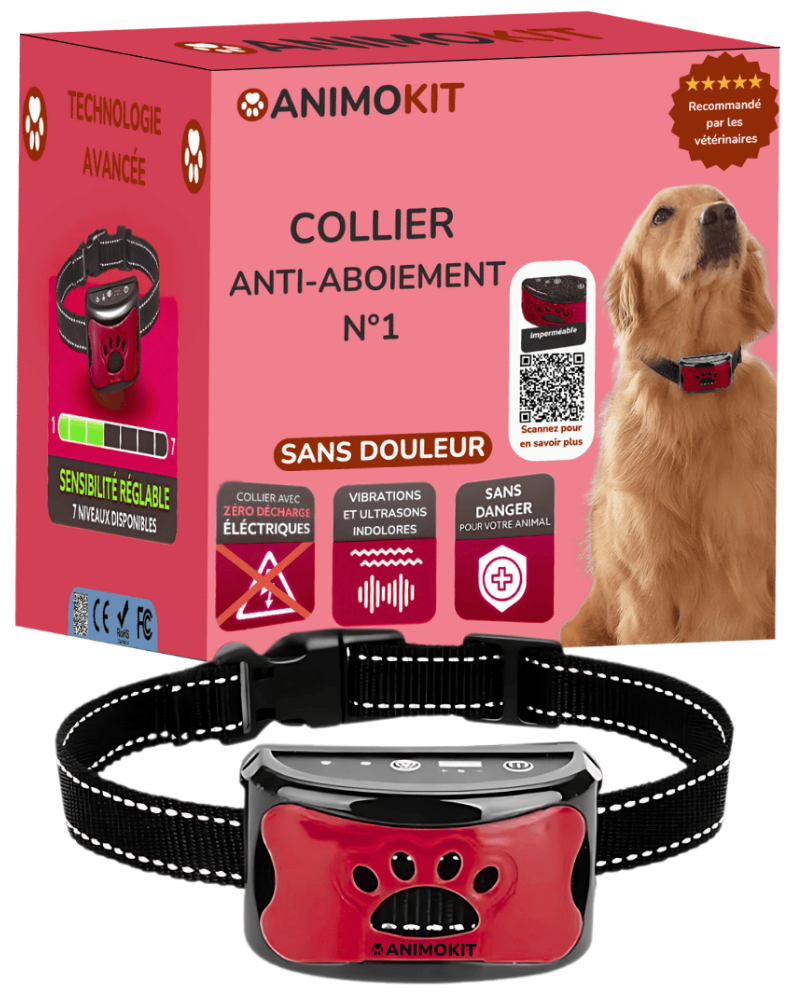 Le collier anti-aboiement sans douleur N°1 - animokit
