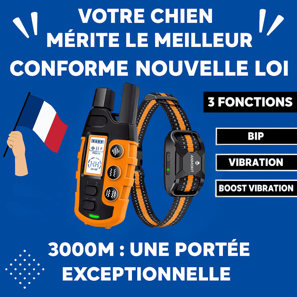 Collier de Dressage pour Chien avec Télécommande - Étanche, Rechargeable, Vibration & Bip