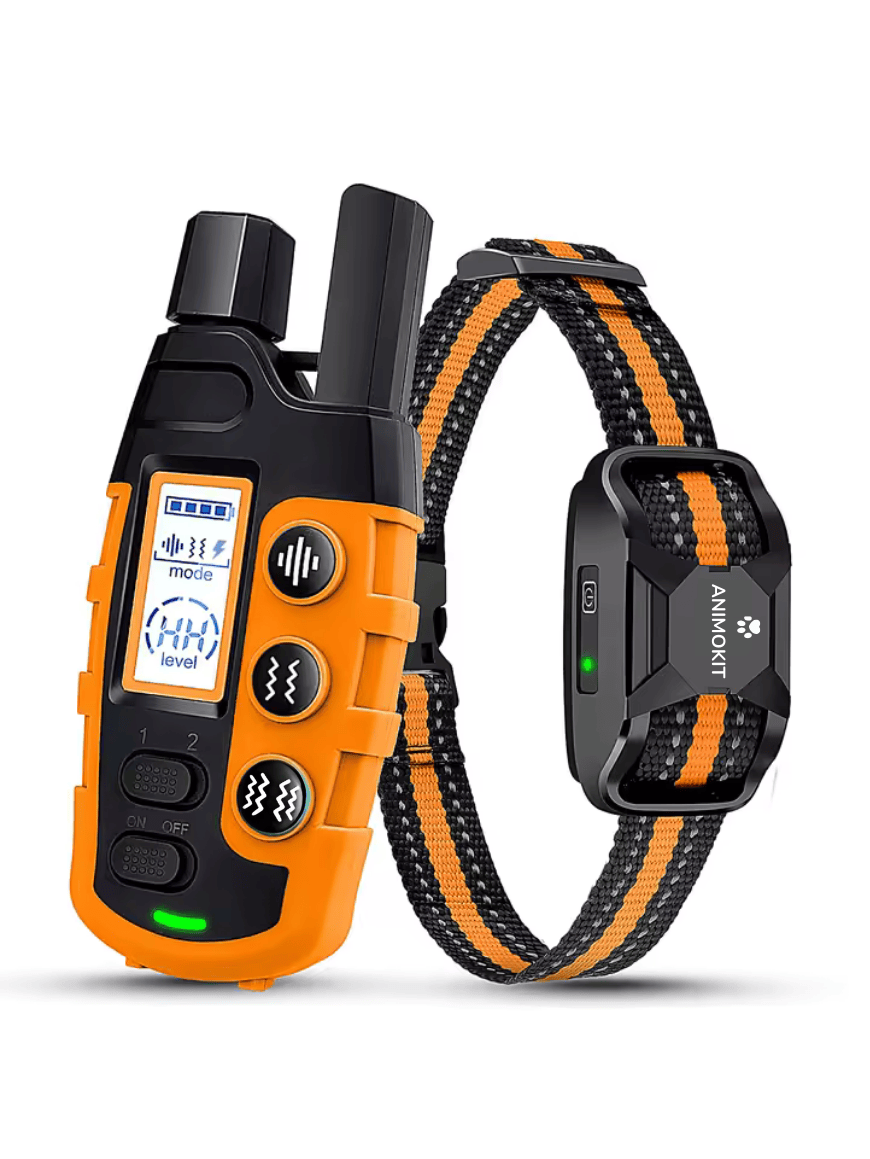 Collier de Dressage pour Chien avec Télécommande - Étanche, Rechargeable, Vibration & Bip