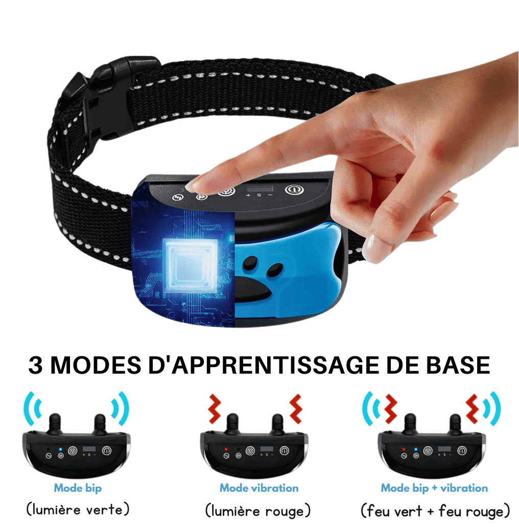Le collier anti-aboiement sans douleur N°1 - animokit