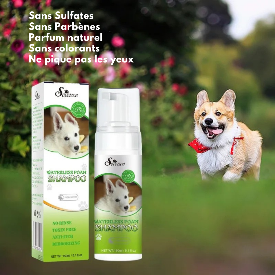 Shampooing Sec Nettoyant Profond pour Chiens et Chats