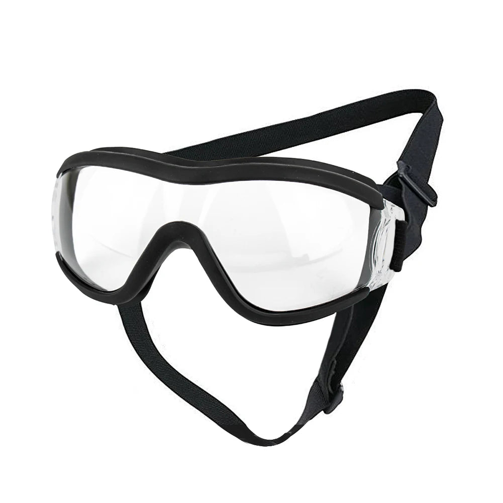 Lunettes pour animaux de compagnie