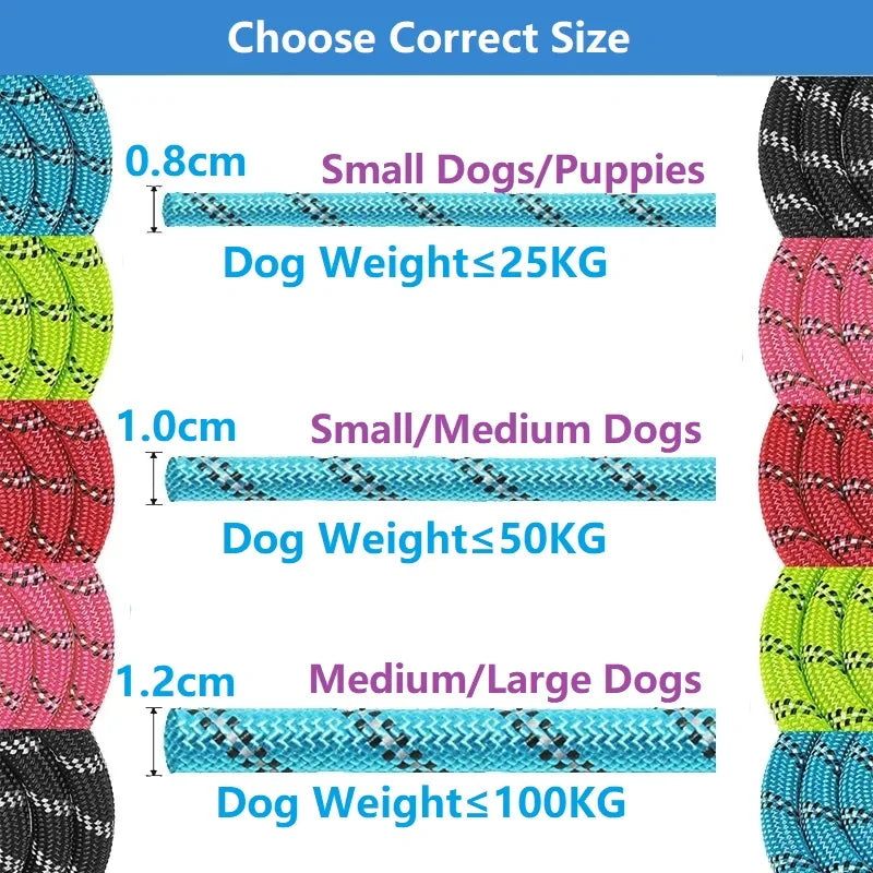 Laisse Renforcée pour Chiens - 120/150/200/300 CM avec Poignée Douce