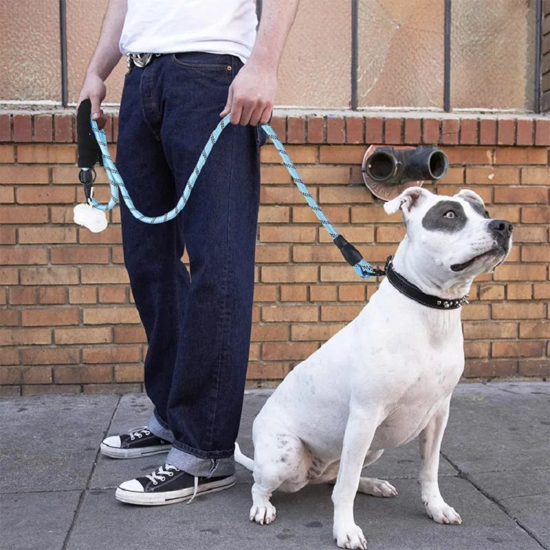 Laisse Renforcée pour Chiens - 120/150/200/300 CM avec Poignée Douce