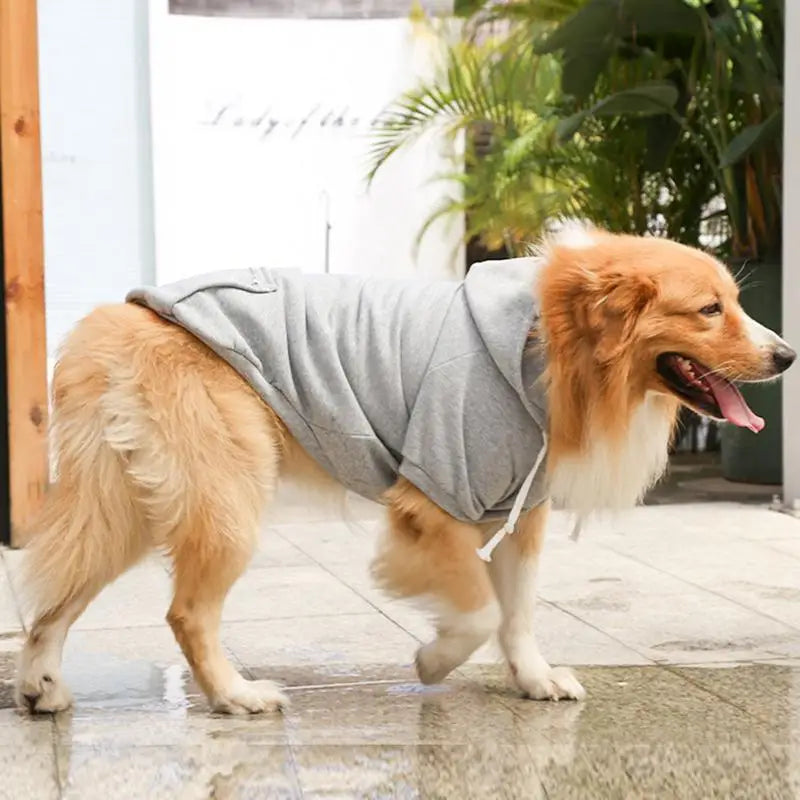 Sweat à Capuche pour Grands Chiens - Confort et Style Assurés