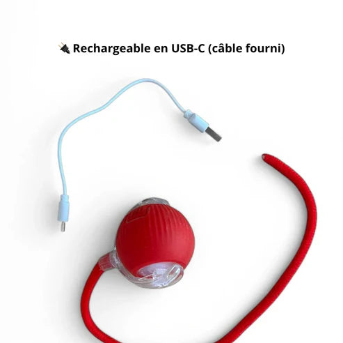 Boule magique avec Lumière - Rechargeable