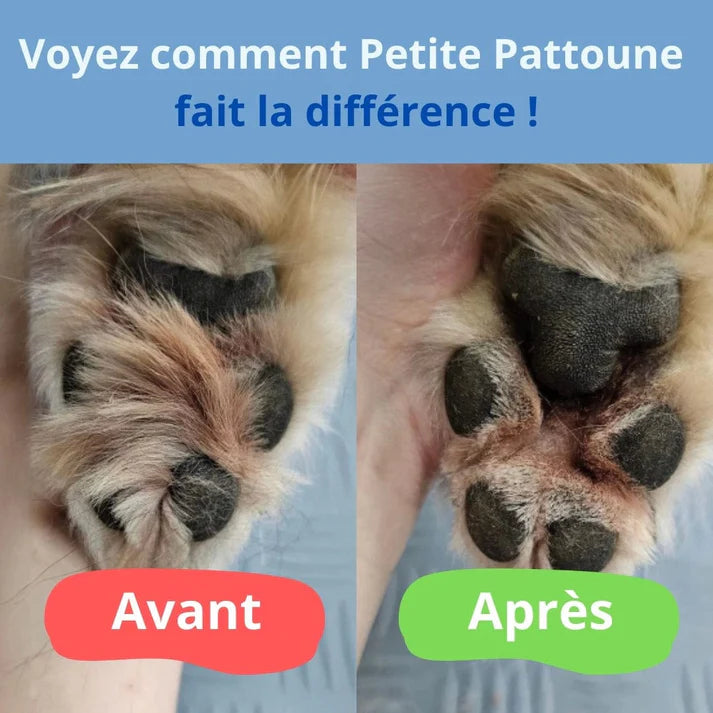 Tondeuse à pattes de chien avec lumière LED