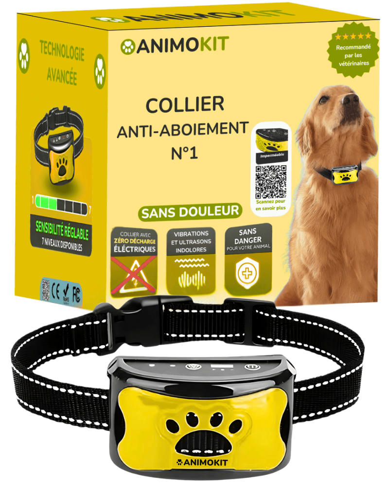 Le collier anti-aboiement sans douleur N°1 - animokit