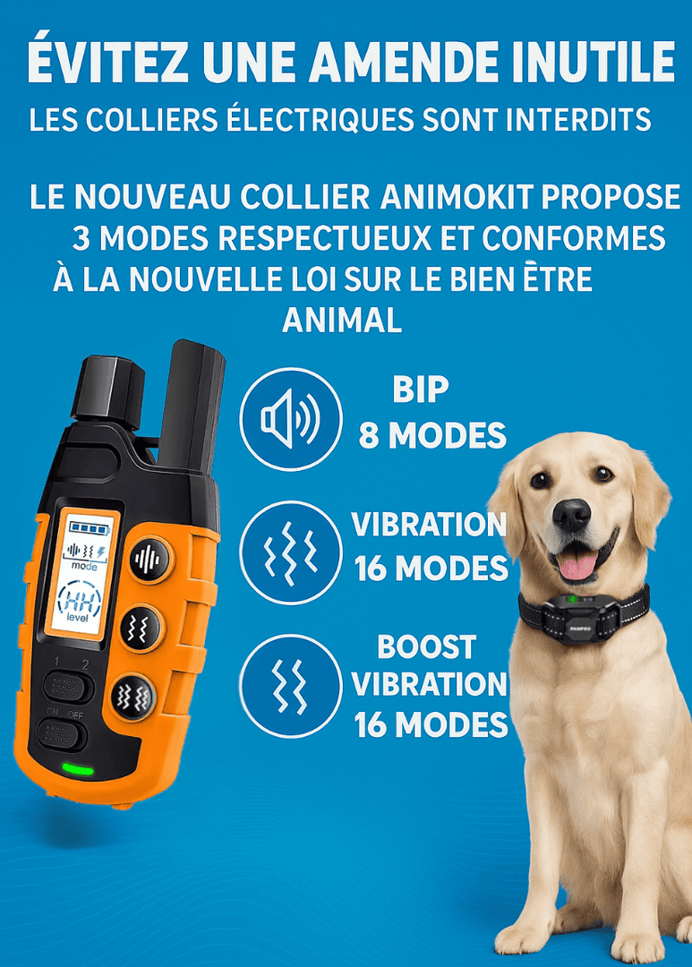 Collier de Dressage pour Chien avec Télécommande - Étanche, Rechargeable, Vibration & Bip
