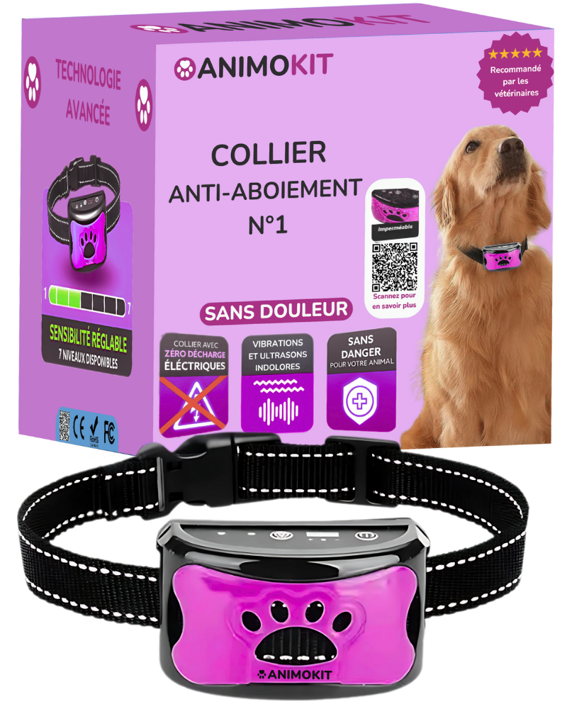 Le collier anti-aboiement sans douleur N°1 - animokit