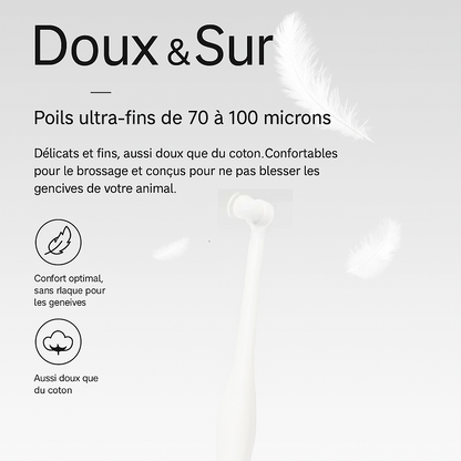 Brosse à Dents à Tête Ronde pour Chiens et Chats – Élimine la Mauvaise Haleine et le Tartre | Soin Dentaire Doux