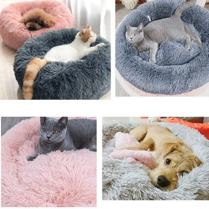 Coussin Relaxant pour Chiens et Chats