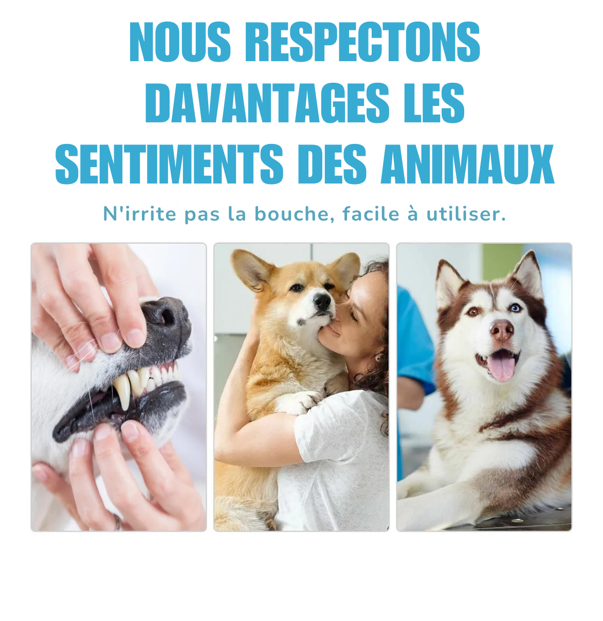 Dentifrice Comestible pour Chiens & Chats – Haleine Fraîche & Dents Propre