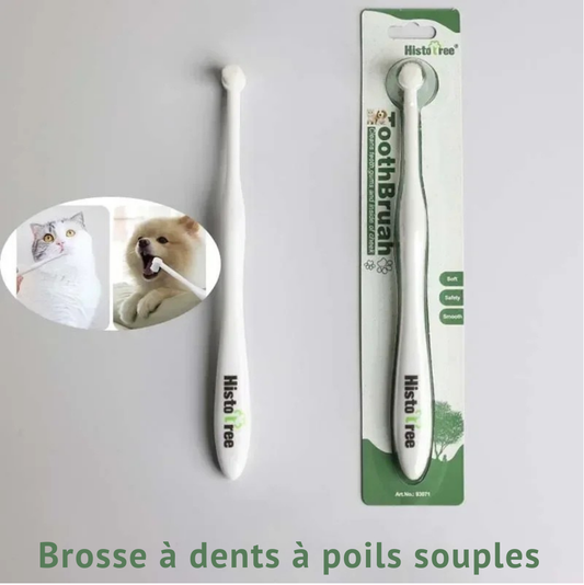 Brosse à Dents à Tête Ronde pour Chiens et Chats – Élimine la Mauvaise Haleine et le Tartre | Soin Dentaire Doux