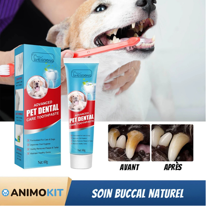 Dentifrice Comestible pour Chiens & Chats – Haleine Fraîche & Dents Propre
