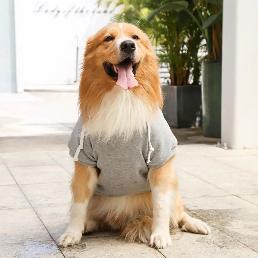 Sweat à Capuche pour Grands Chiens - Confort et Style Assurés