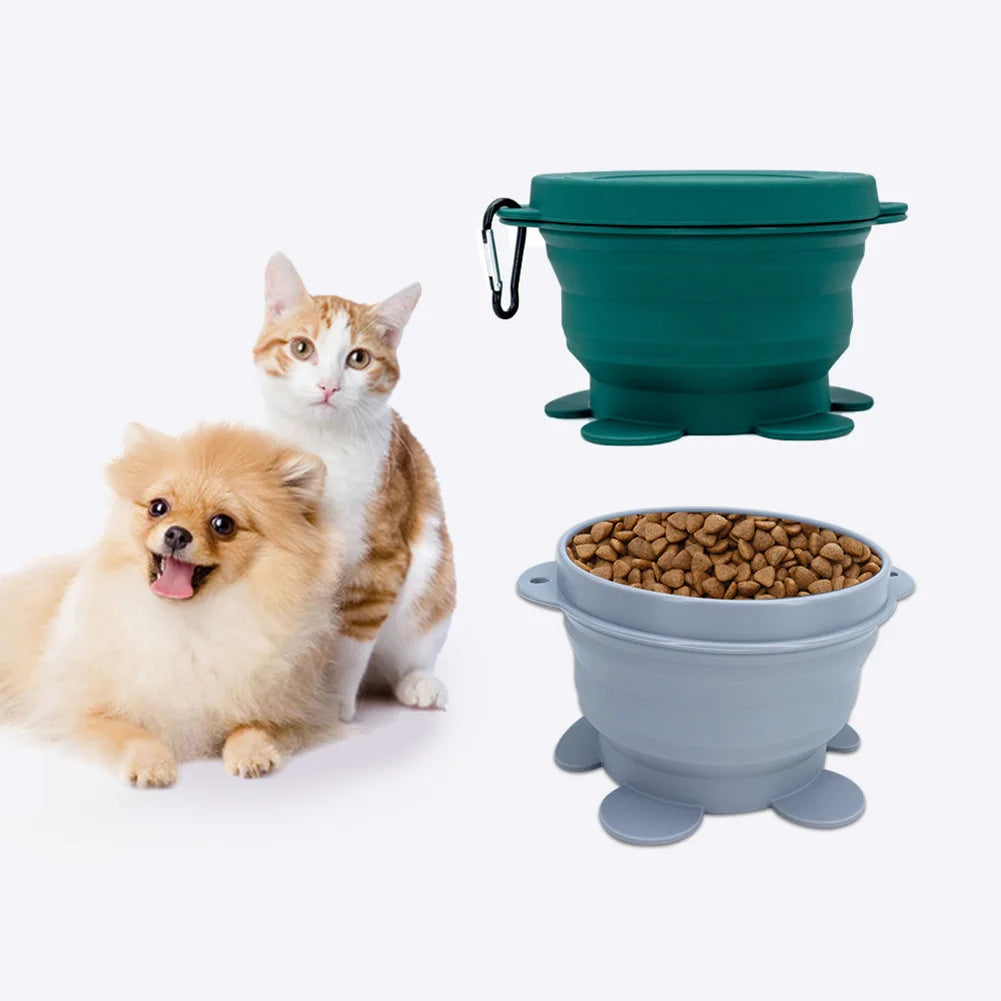 Gamelle Portable en Silicone Alimentaire pour Chiens et Chats