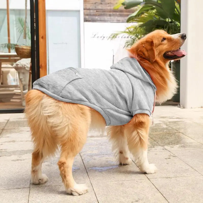 Sweat à Capuche pour Grands Chiens - Confort et Style Assurés