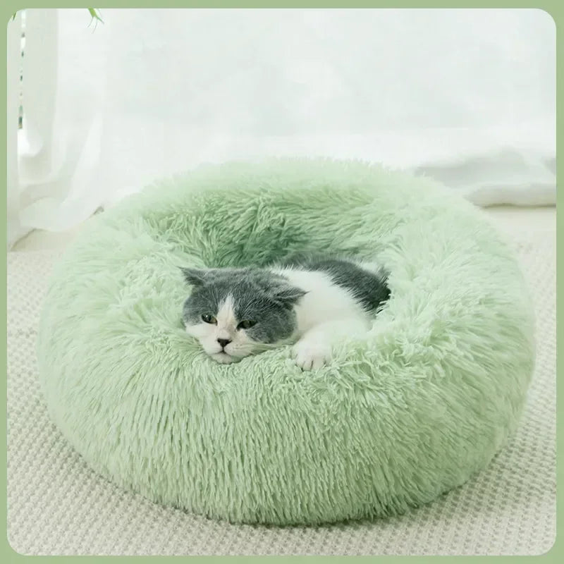 Coussin Relaxant pour Chiens et Chats